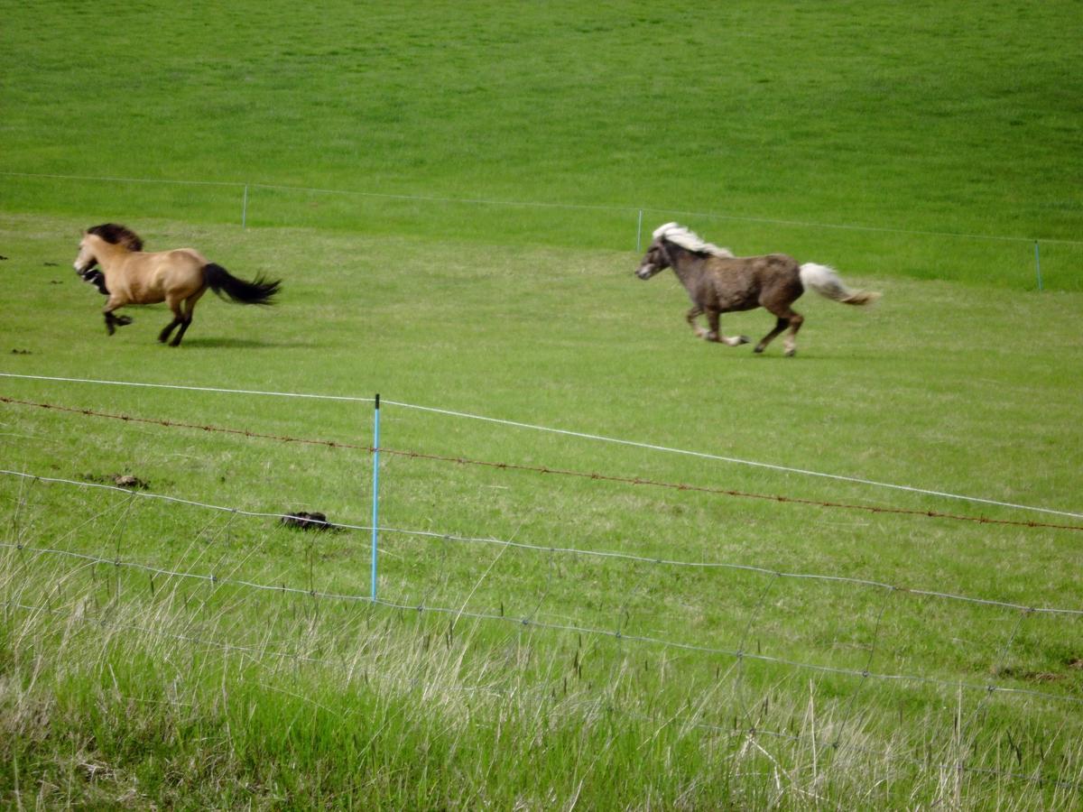 Skyggnir Bed&Breakfast Fludir Eksteriør bilde